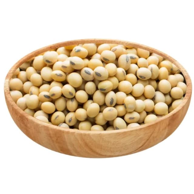 Soyabean Seed
